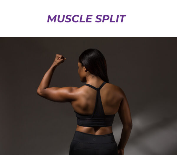 MUSCLE SPLIT